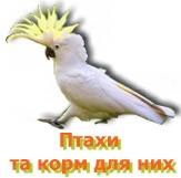 Птахи та корм для них