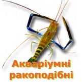 Акваріумні раки, краби, креветки, ін.