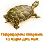 Терраріумні улюбленці (комахи, плазуни, ін.) та корм для них
